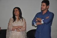 Aagadu Audio Launch Photos